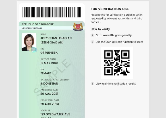 Post-Graduation Stay Options in Singapore